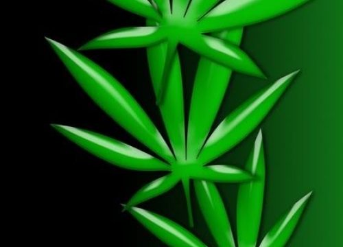 The Buzz on Green Gold: Unveiling the Truth About Marijuana