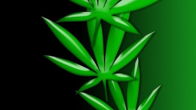 The Buzz on Green Gold: Unveiling the Truth About Marijuana