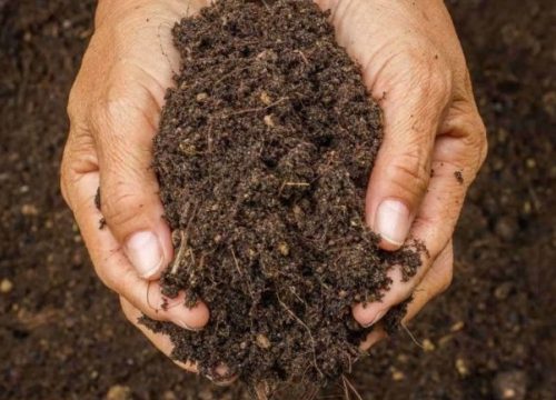 The Green Guide: Unlocking the Power of Organic Soils and Fertilizers