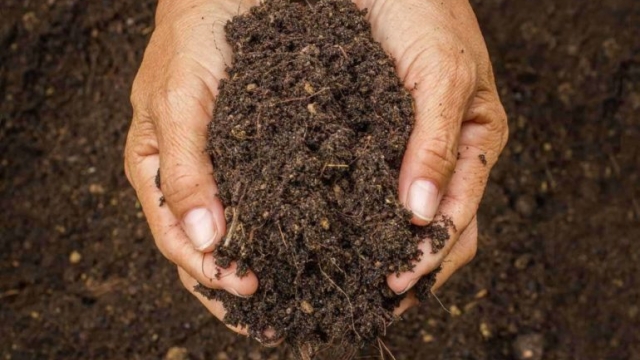 The Green Guide: Unlocking the Power of Organic Soils and Fertilizers