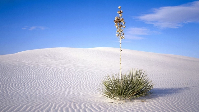 The Hidden Wonders of the Sahara: Unveiling the Secrets of Earth’s Greatest Desert