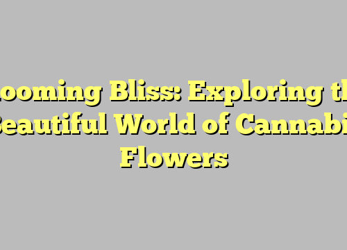 Blooming Bliss: Exploring the Beautiful World of Cannabis Flowers