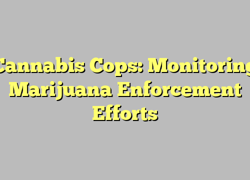 Cannabis Cops: Monitoring Marijuana Enforcement Efforts