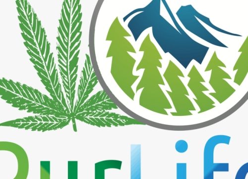 From Bud to Your Doorstep: Exploring the World of Online Dispensaries