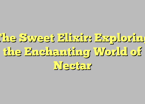 The Sweet Elixir: Exploring the Enchanting World of Nectar