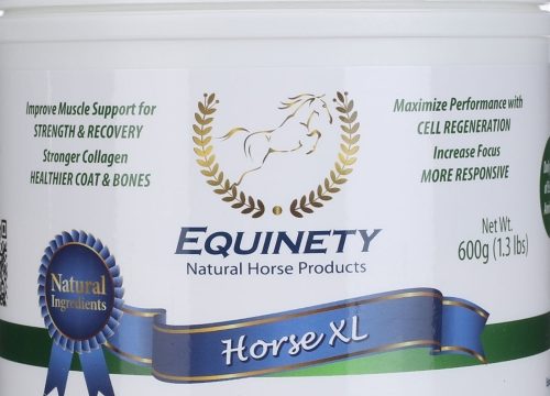 Boosting Equine Vitality: Unveiling the Power of Horse Health Supplements