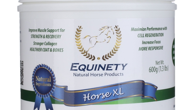 Boosting Equine Vitality: Unveiling the Power of Horse Health Supplements