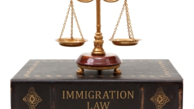 Navigating the Legal Landscape: A Guide to Immigration Law