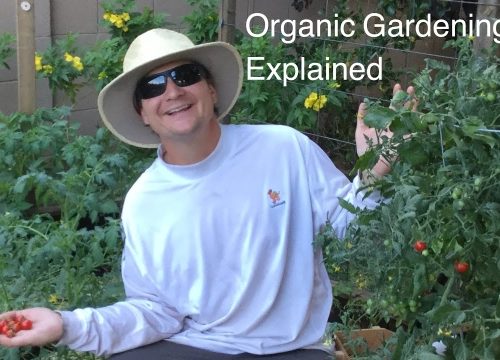 Growing a Greener Thumb: Unleashing the Magic of Organic Gardening