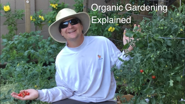 Growing a Greener Thumb: Unleashing the Magic of Organic Gardening