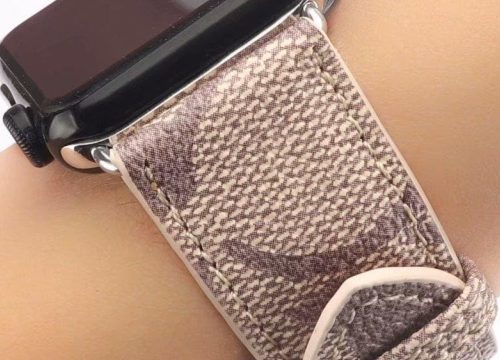 Accessorize in Style: Exploring the Trendiest Apple Watch Bands