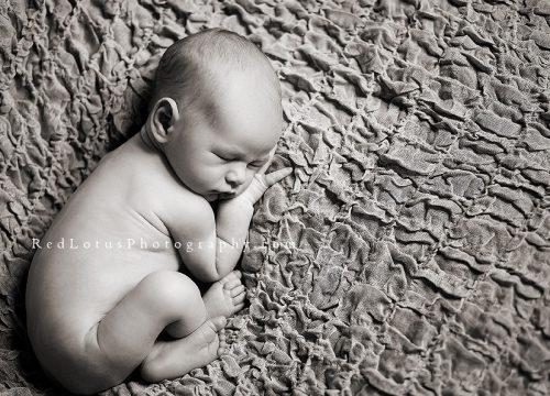 Capturing Cherub: The Art of Newborn Photography