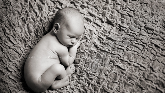 Capturing Cherub: The Art of Newborn Photography