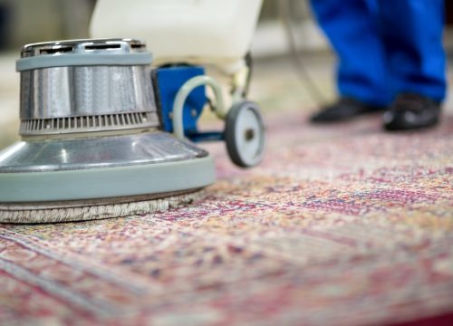 Revitalize Your Space: The Ultimate Guide to Carpet Cleaning