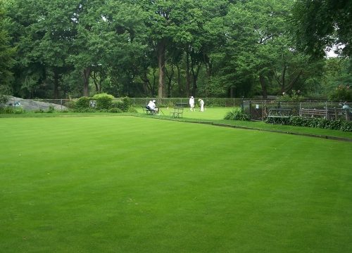 Unlock the Secrets to a Luscious Lawn: Expert Tips for Superior Lawn Care