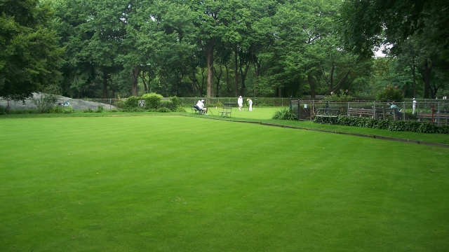 Unlock the Secrets to a Luscious Lawn: Expert Tips for Superior Lawn Care