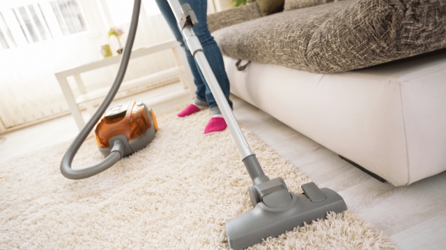 Unveiling the Magic of Professional Carpet Cleaning: From Stains to Shine