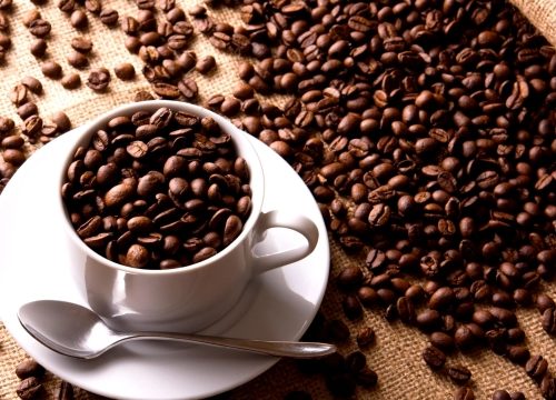 Brewing Excellence: Unveiling the Secrets of Organic Coffee Beans