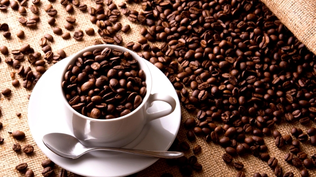 Brewing Excellence: Unveiling the Secrets of Organic Coffee Beans