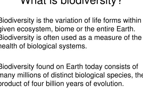 Harmony in Diversity: Exploring the Marvels of Ecology and Biodiversity