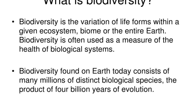 Harmony in Diversity: Exploring the Marvels of Ecology and Biodiversity