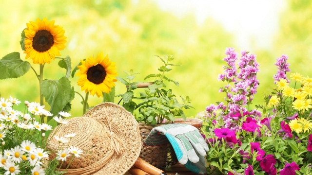 Blooming Success: 10 Innovative Gardening Tips for Every Green Thumb