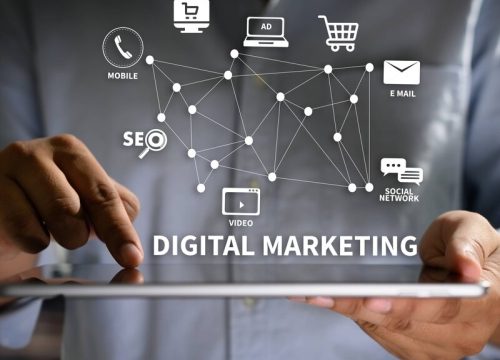 Navigating the Digital Jungle: Strategies for Thriving in Modern Marketing