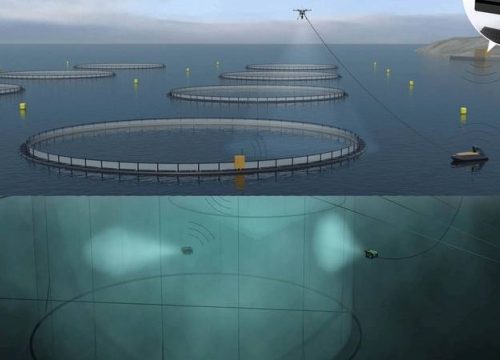 Revolutionizing the Seas: The Future of Aquaculture Technology