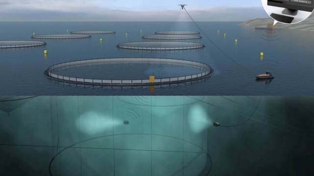 Revolutionizing the Seas: The Future of Aquaculture Technology