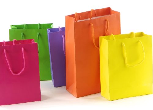 Bagging the Plastic Problem: Rethinking Our Shopping Choices