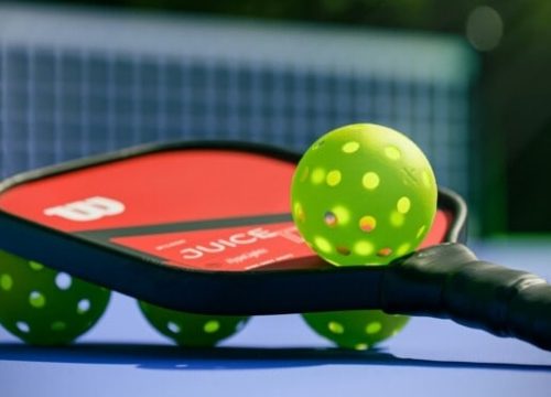 Serve Up Some Fun: The Rise of Pickleball and Why You Should Join the Craze!