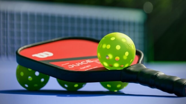 Serve Up Some Fun: The Rise of Pickleball and Why You Should Join the Craze!