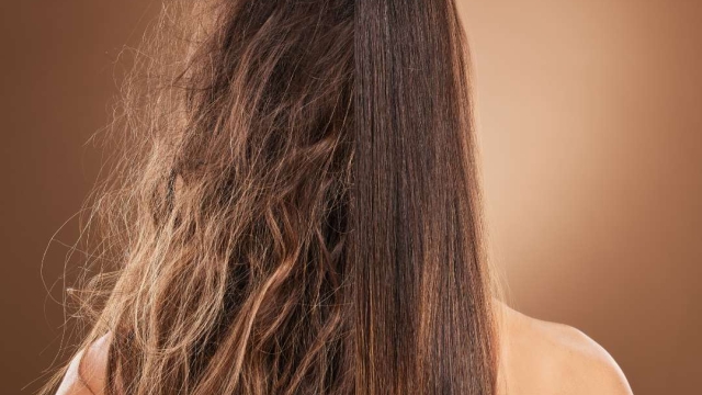 Transform Your Tresses: The Ultimate Guide to Finding Your Perfect Hair Salon