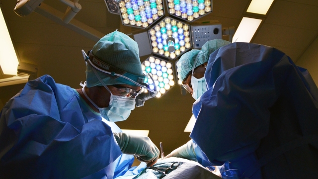 Understanding Patient Transfer Services