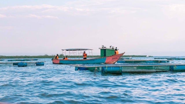 Best Practices in Aquatic Resource Management
