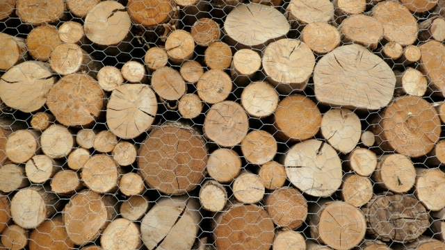 Identifying Inefficiencies in Current Packaging Processes