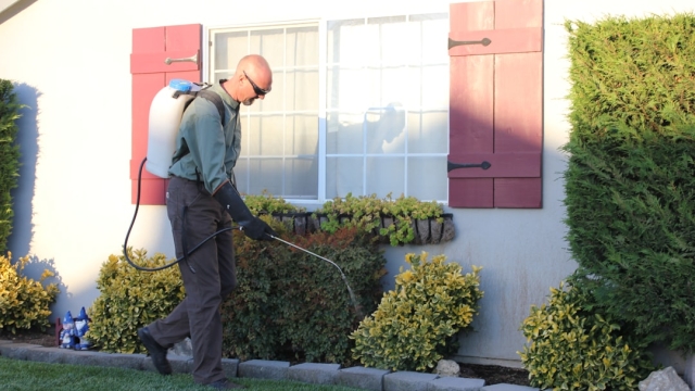 Understanding the Importance of Quality Gutter Systems Analysis